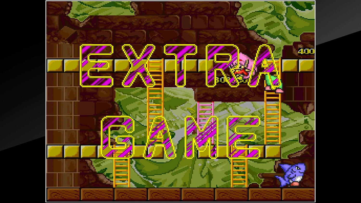 Arcade Archives Rod Landand