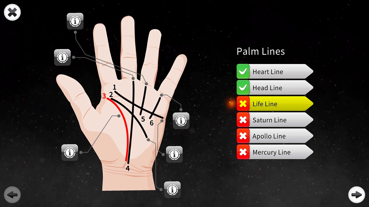 Palm Reading Premium