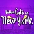 Hidden Cats in New York